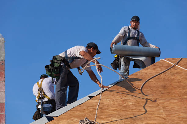 Best Storm Damage Roof Repair  in Palatka, FL